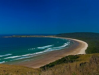New Zealand Beach Wallpaper