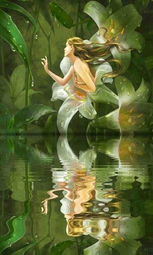 Animated Live Wallpaper Of Lily Fairy Also Very Relaxing This