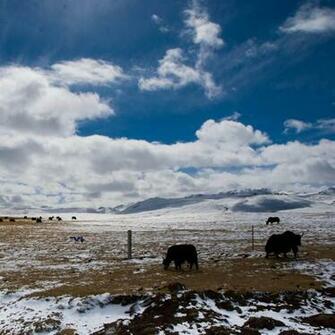Tibet Id01 Natural Scenery New iPad Wallpaper HD