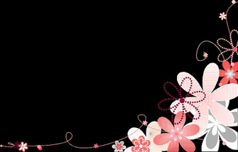 Pink Flower Flowers White Background Gray Grey
