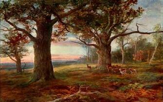 Fondo Paisaje Cassell Thebritishisles Bosque De Sherwood Wallpaper