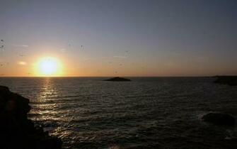Sunrise Ocean Wallpaper Nature Oceans HD Desktop