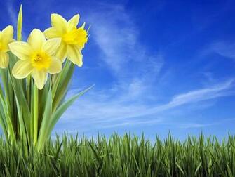Wallpaper Spring Background Html