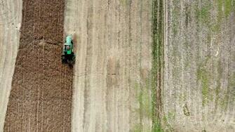 China Figures Out Live Without U S Lobster And Soybeans