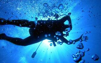 Scuba Diving At Sydney Cronulla