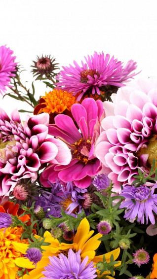 Floral Wallpaper iPhone