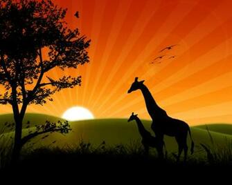 Sunrise Wallpaper