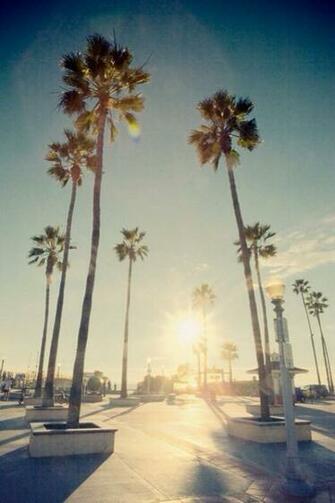 California Beach iPhone Wallpaper Satisfacti