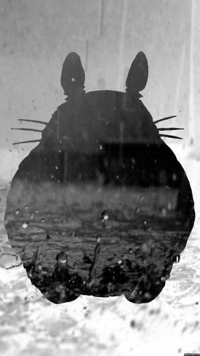 Totoro iPhone 5s Wallpaper By Owlboy68