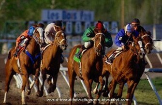 Beautiful Wallpaper Racing Horse