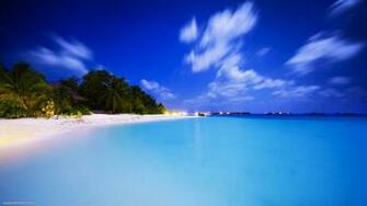 Summer Wallpaper