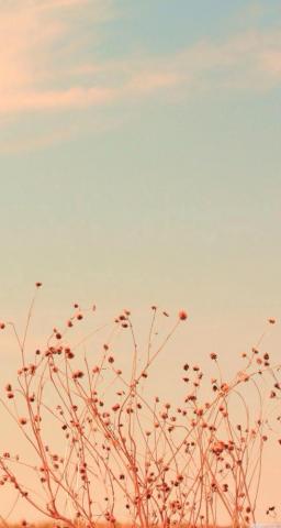 Briahja Smith On Lovely iPhone Background Vintage