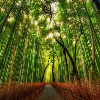 Green iPad Mini With Retina Display Wallpaper