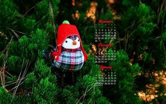 December Calendar Wallpaper Bundled Up Bird Photo Kate Net