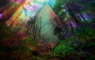 Psychedelic Wolf Wallpaper
