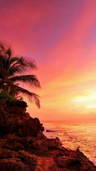 Nature iPhone Wallpaper In Sunset
