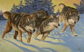 Sunrise Unknown Wallpaper Widescreen Winter Wolf Yellow