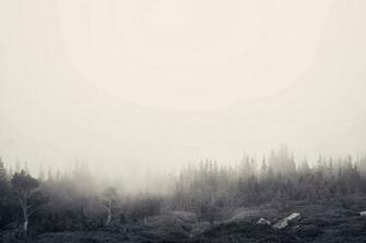 Meet The New Ubuntu Lts Default Wallpaper Link