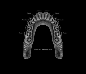 Teeth HD Wallpaper General
