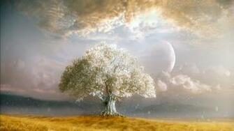 Tree Of Life HD Wallpaper From Eternity To
