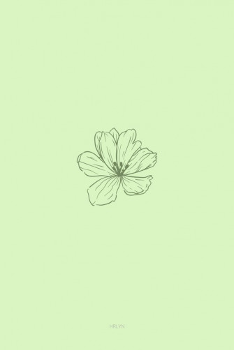 Wallpaper Flower Green Minimalist Mint