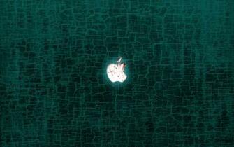 Apple Wallpaper Bloody Tiger Mac Os X Horror
