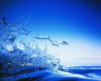 Exclusive Royalty Wallpaper Of Water