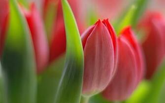 Stunning iPhone Wallpaper Wonderful For Your