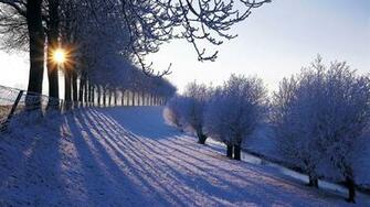 Beautiful Winter Wallpaper Beauty Of Season Nature
