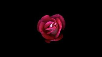 Pink And Black Background For Desktop Image