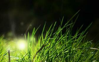 HD Wallpaper Wide Pack Pict Photo Of