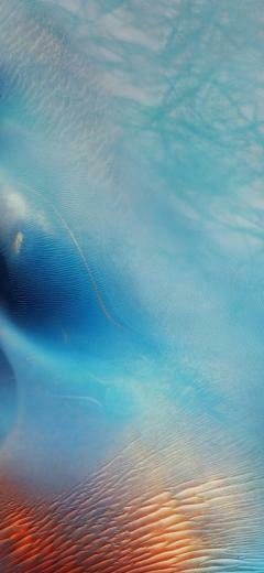 iPhone Wallpaper Background Elsetge