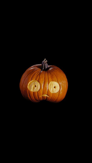 Cute Pumpkin Picture Wallpaper