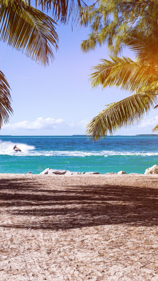 Vacation Wallpaper On