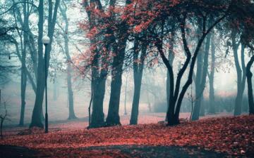 Fall Aesthetic Desktop Wallpaper 4k HD