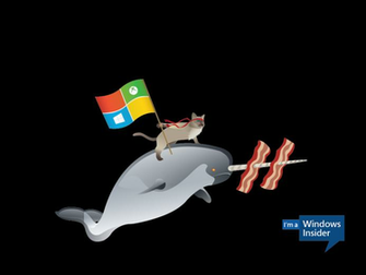 Featuring A Ninja Cat Riding Tyrannosaurus Rex Business Insider