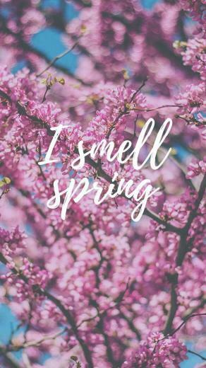 Spring Wallpaper Image For Your Phone And Desktop Computer