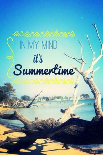 Summertime iPhone Wallpaper Summer Time Background Pictures