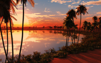 HD African Art Wallpaper