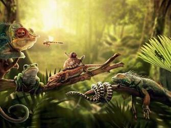Forests Insects Chameleons Turtles Snakes Frogs Snails Reptiles