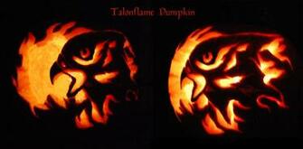 What Level Does Fletchinder Evolve Into Talonflame