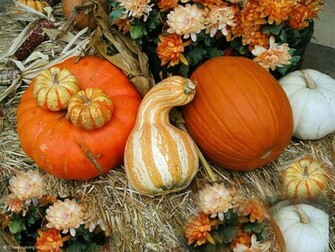 Thanksgiving Wallpaper Desktop