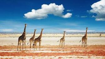 African Landscape Desktop Pc And Mac Wallpaper