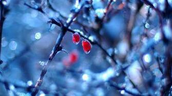 Winter Wallpaper Image Pics Cool HD