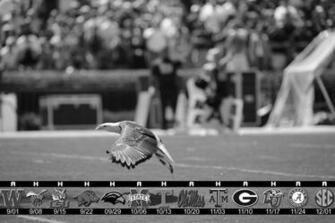 Auburn Football Wallpaper Tiger B W Wde