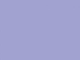 Phylor S