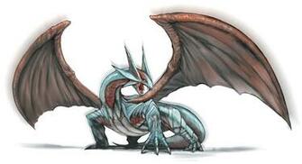 Wil Seemed To Really Like This Salamence Wallpaper When I Was Going