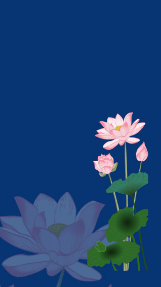 Lotus Wallpaper For Home Lock Screen