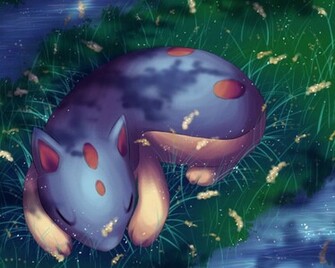 Fire Type Pokemon Wallpaper Dreams Ty