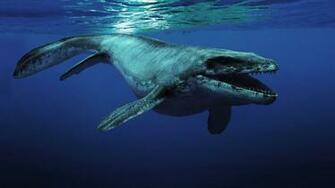 Best Mosasaurus Wallpaper